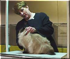 Patty Jacobberger and DeLook