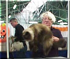 Dollar and Leta Williams
