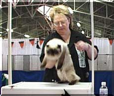 DeLook and Pam Moser