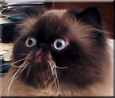 Charlie