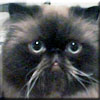 Charlie