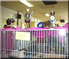 Den Helder trophies