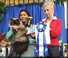 Dollar with awards