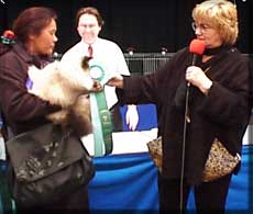 Picnic winning Best Seal Point