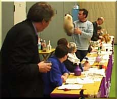 DeLook being judged